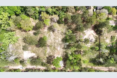 19017 Lincoln Street, New Caney, TX 77357 - Photo 7