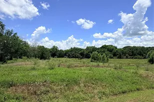 Lot 36 Winding Branch, Chappell Hill, TX 77426 - Photo 1