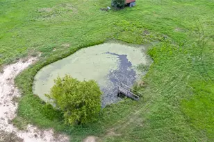 8166 Riley Rd, Bryan, TX 77808 - Photo 23