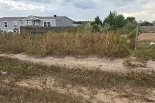 1030 Rd 5502, Cleveland, TX 77327 - Photo 1