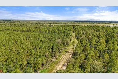 07 Old Beaumont, Sour Lake, TX 77659 - Photo 7