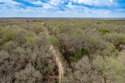 Lot 1 and 2 Harper Branch Road, Trinity, TX 75862 - Photo 11