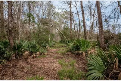 Lot 1 and 2 Harper Branch Road, Trinity, TX 75862 - Photo 17