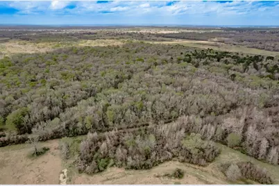 Lot 1 and 2 Harper Branch Road, Trinity, TX 75862 - Photo 5