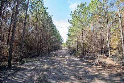 Tbd Sandydale Lane, Livingston, TX 77351 - Photo 17