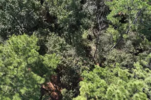 4242 Starling Stream Dr, Spring, TX 77386 - Photo 7