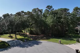 4242 Starling Stream Dr, Spring, TX 77386 - Photo 3