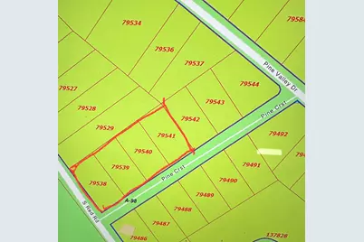 Tbd Pine Crest Street, Shepherd, TX 77371 - Photo 1