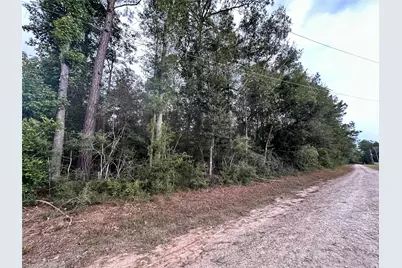 Tbd Pine Crest Street, Shepherd, TX 77371 - Photo 3