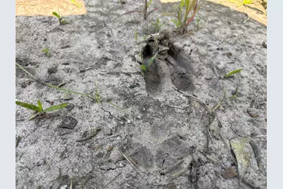 Tbd Hwy 190 Highway, Oakhurst, TX 77359 - Photo 11