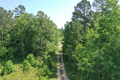 Tbd Hwy 190 Highway, Oakhurst, TX 77359 - Photo 9