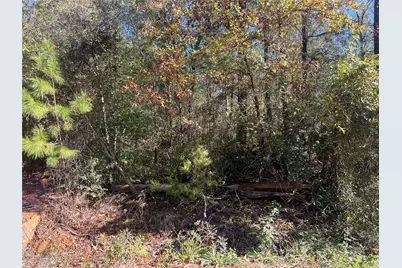 126 Moonlite Drive, Livingston, TX 77351 - Photo 3