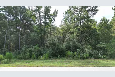 5-27-3 Feldspar Lane, Huntsville, TX 77340 - Photo 3