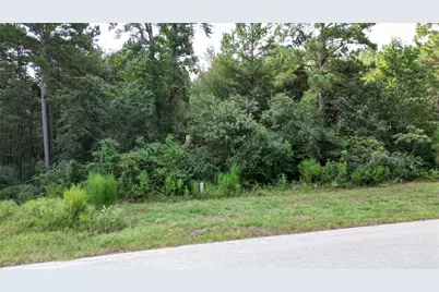 5-27-3 Feldspar Lane, Huntsville, TX 77340 - Photo 11