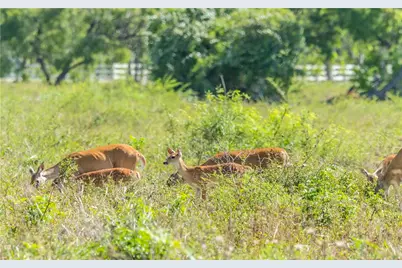 401 Anderson Road, Cuero, TX 77954 - Photo 5
