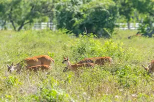 401 Anderson Rd, Cuero, TX 77954 - Photo 7