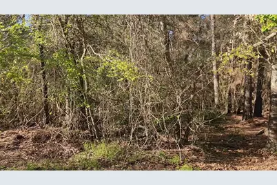 Lot 7 Sweetleaf Lane, Plantersville, TX 77363 - Photo 9