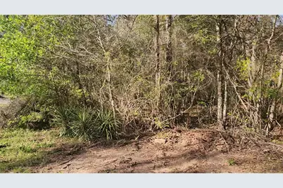 Lot 7 Sweetleaf Lane, Plantersville, TX 77363 - Photo 7