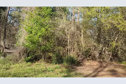 Lot 7 Sweetleaf Lane, Plantersville, TX 77363 - Photo 5