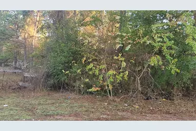Lot 7 Sweetleaf Lane, Plantersville, TX 77363 - Photo 7