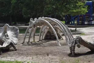 2614 Beauchamp St, Houston, TX 77009 - Photo 27