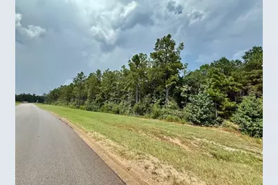 10769 Ruger Rd, Willis, TX 77378 - Photo 11