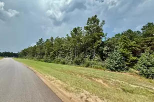 10769 Ruger Rd, Willis, TX 77378 - Photo 11