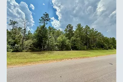 10769 Ruger Rd, Willis, TX 77378 - Photo 13