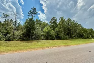 10769 Ruger Rd, Willis, TX 77378 - Photo 13