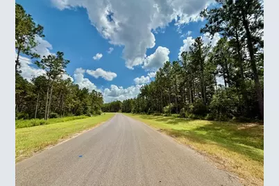 10769 Ruger Rd, Willis, TX 77378 - Photo 9