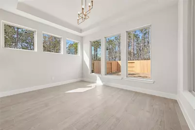 16447 Cat Court, Conroe, TX 77302 - Photo 7