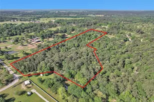 3974 N Fm 1486 Rd, Montgomery, TX 77356 - Photo 7