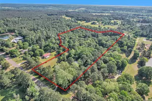 3974 N Fm 1486 Rd, Montgomery, TX 77356 - Photo 11