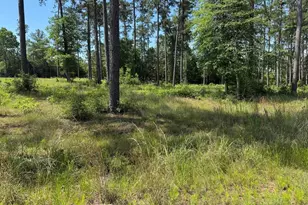 009 Private Road 6028 Tract 1-9, Brookeland, TX 75931 - Photo 9