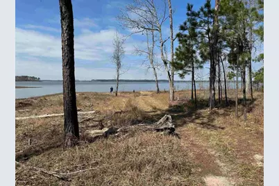 009 Private Road 6028 Tract 1-9, Brookeland, TX 75931 - Photo 5