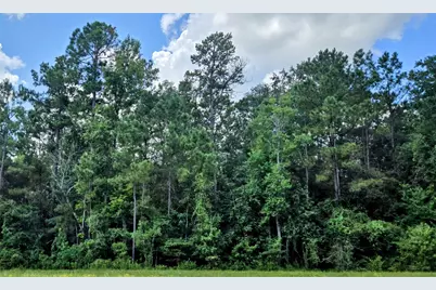 319 Exploration Road, New Waverly, TX 77358 - Photo 11