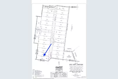 319 Exploration Road, New Waverly, TX 77358 - Photo 3