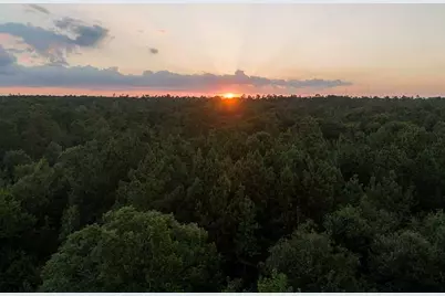 319 Exploration Road, New Waverly, TX 77358 - Photo 17
