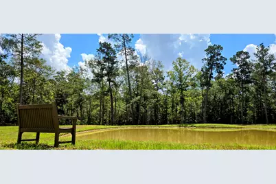 319 Exploration Road, New Waverly, TX 77358 - Photo 13