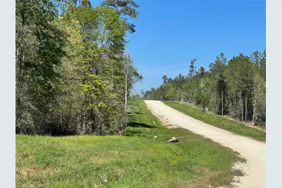 319 Exploration Road, New Waverly, TX 77358 - Photo 3