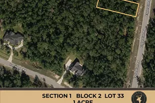 319 Exploration Rd, New Waverly, TX 77358 - Photo 1