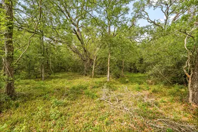 161 County Road 508, Brazoria, TX 77422 - Photo 9