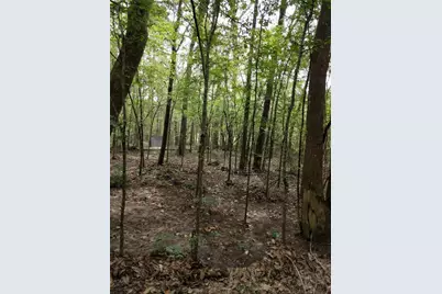 50 Jock Street, Livingston, TX 77351 - Photo 9