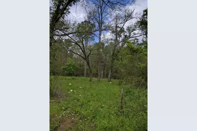 50 Jock Street, Livingston, TX 77351 - Photo 3