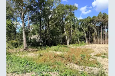 11249 Wildwood Lane, Plantersville, TX 77363 - Photo 5