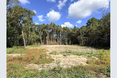 11249 Wildwood Lane, Plantersville, TX 77363 - Photo 1