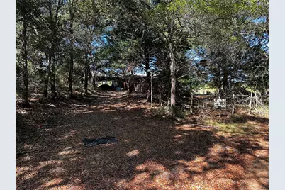 535 Pr 3420, Jewett, TX 75846 - Photo 1