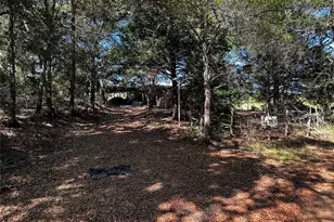 535 Pr 3420, Jewett, TX 75846 - Photo 1