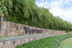 146 West Coralburst Loop, Montgomery, TX 77316 - Photo 23