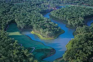 2011 Playa Valencia, Missouri City, TX 77459 - Photo 5